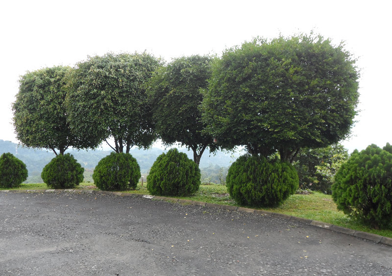 image url