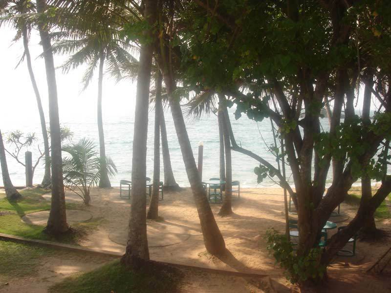 image url
