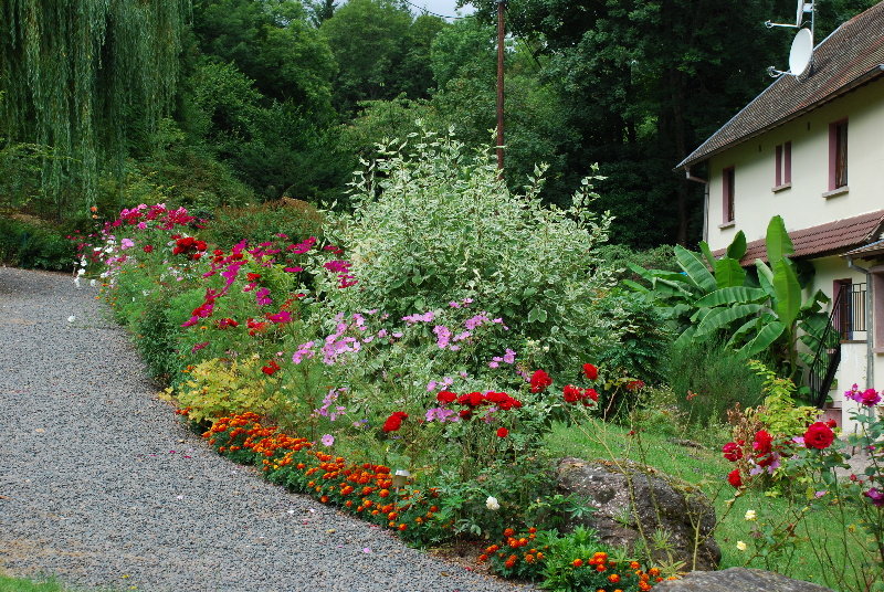 image url