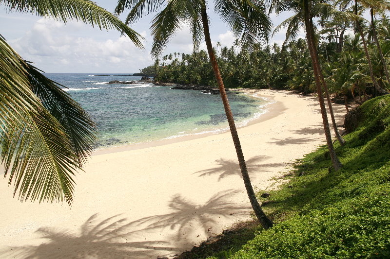 image url