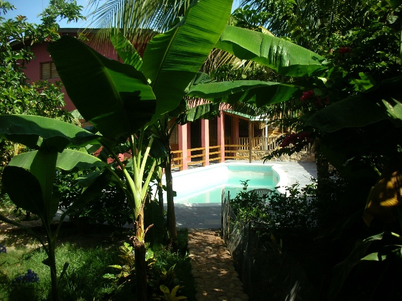 images