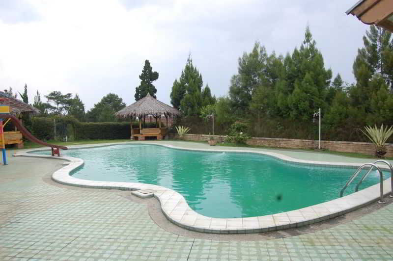image url