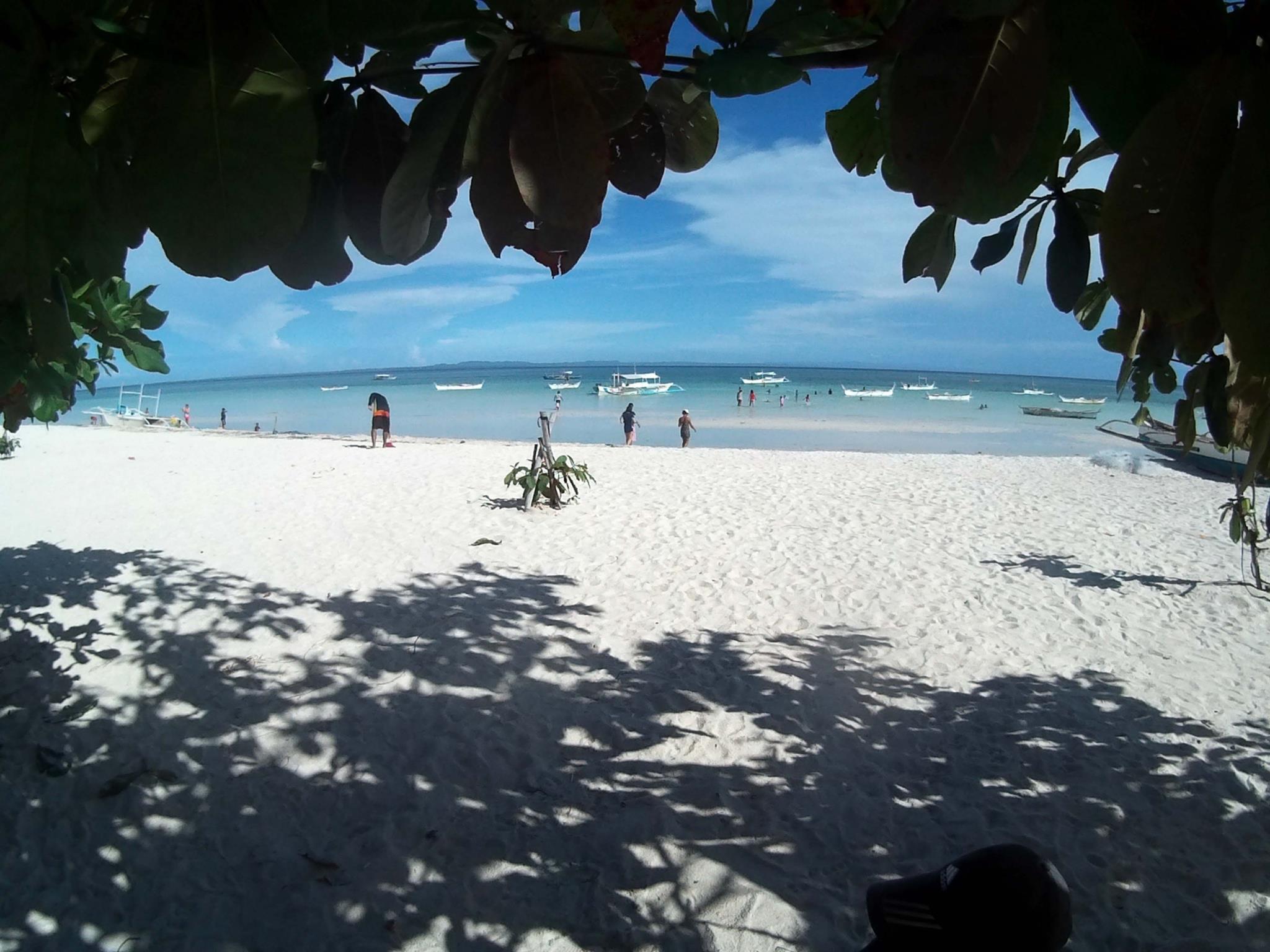 image url