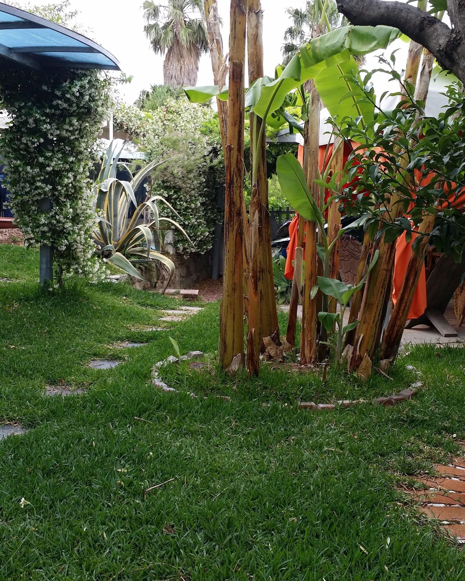 image url