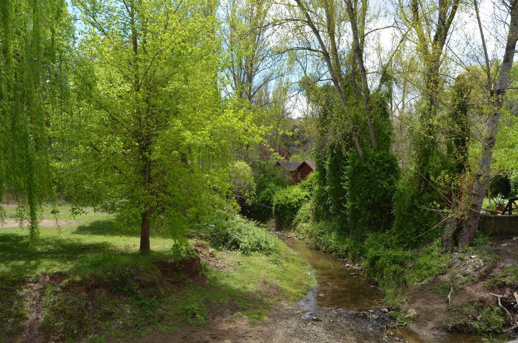 image url