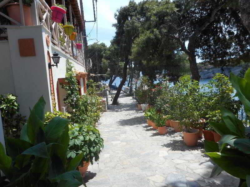image url