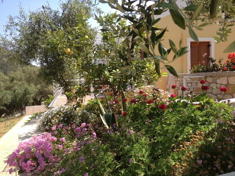 image url