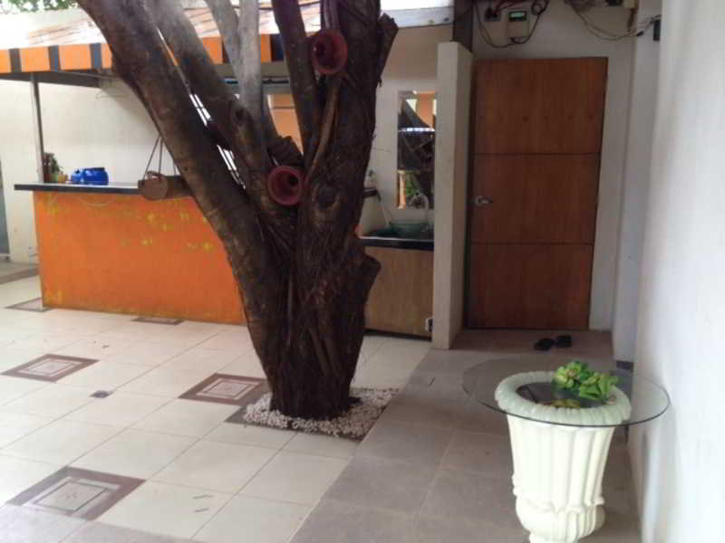 image url