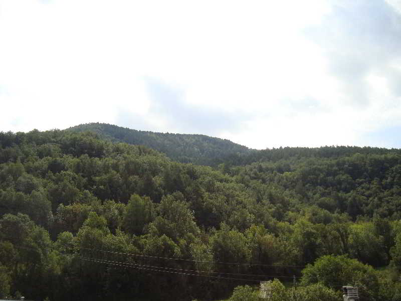 image url