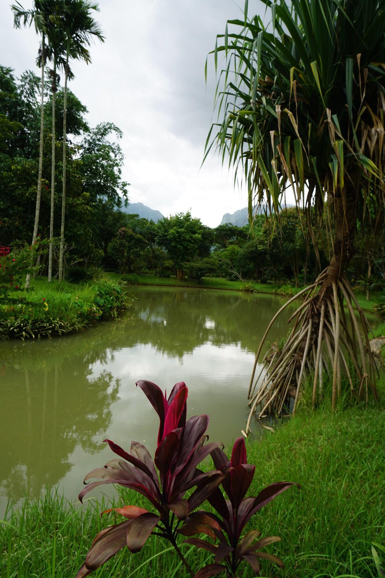 image url