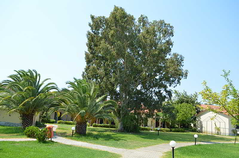 image url