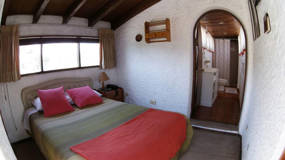 La Casa de Tintin en AREQUIPA