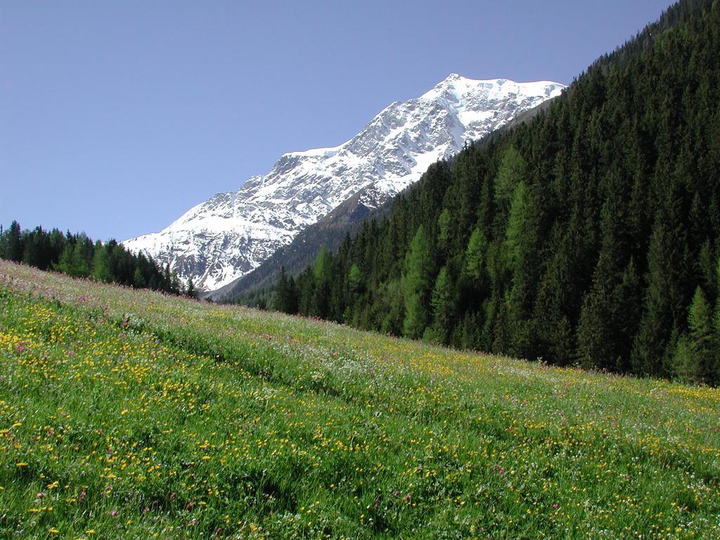 image url