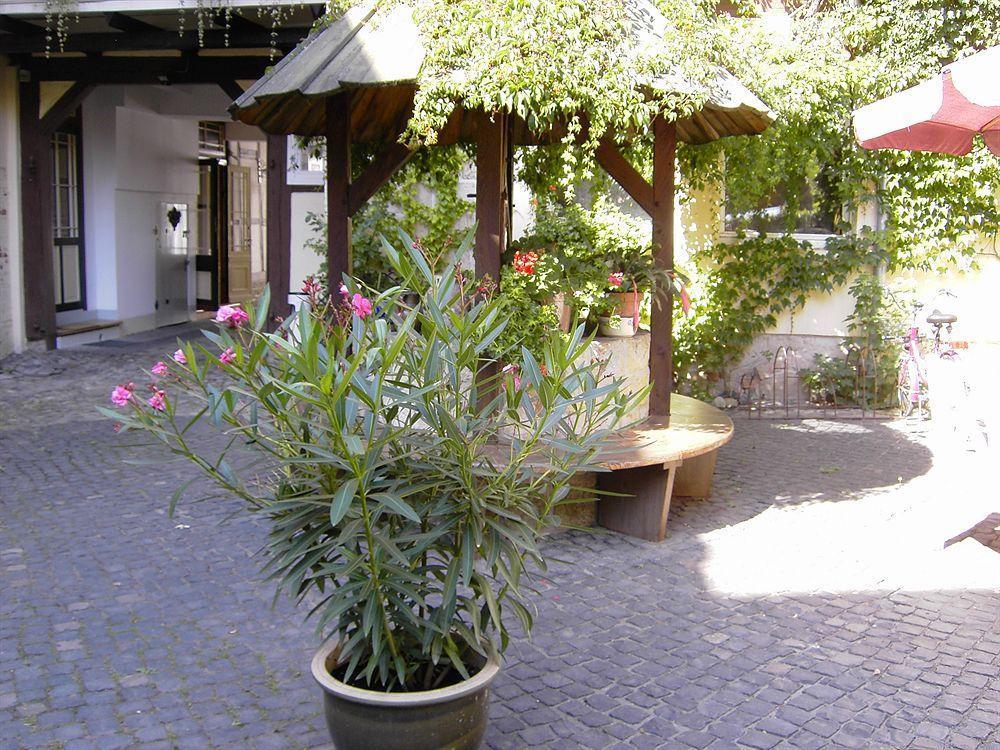 image url