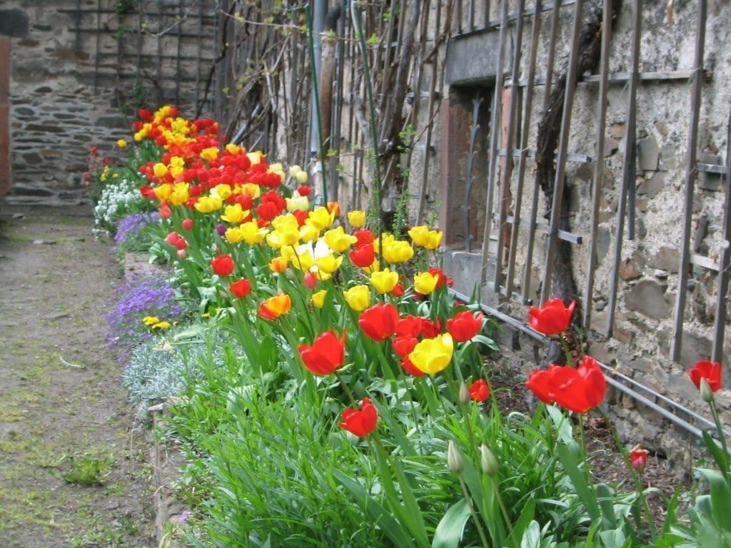 image url