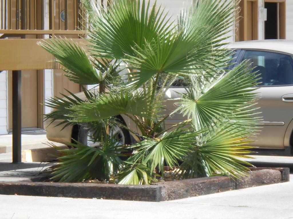 image url