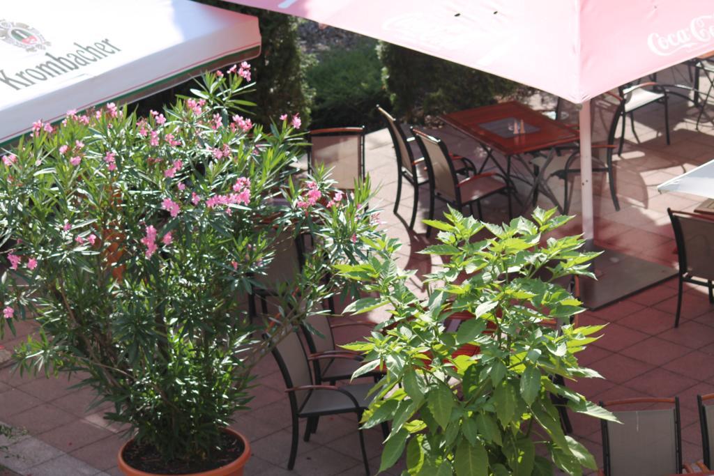 image url