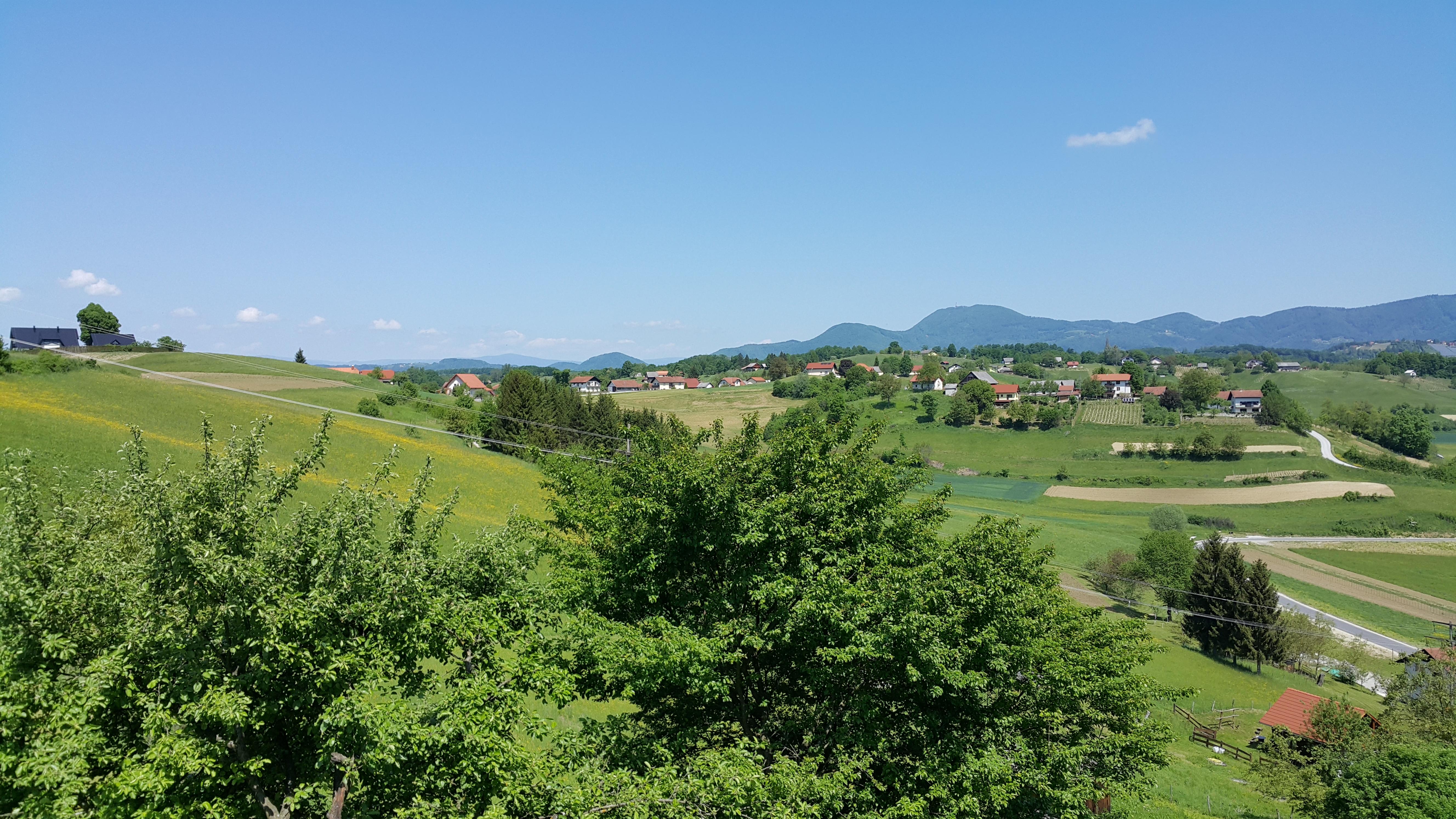 image url