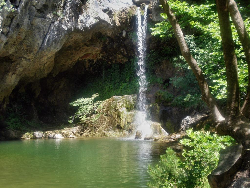 image url