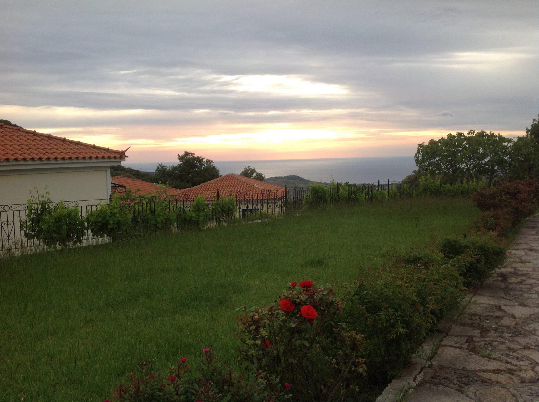 image url