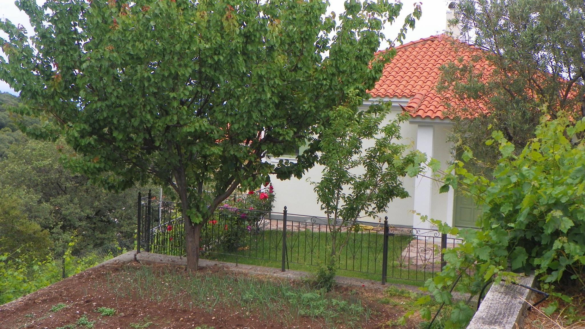 image url