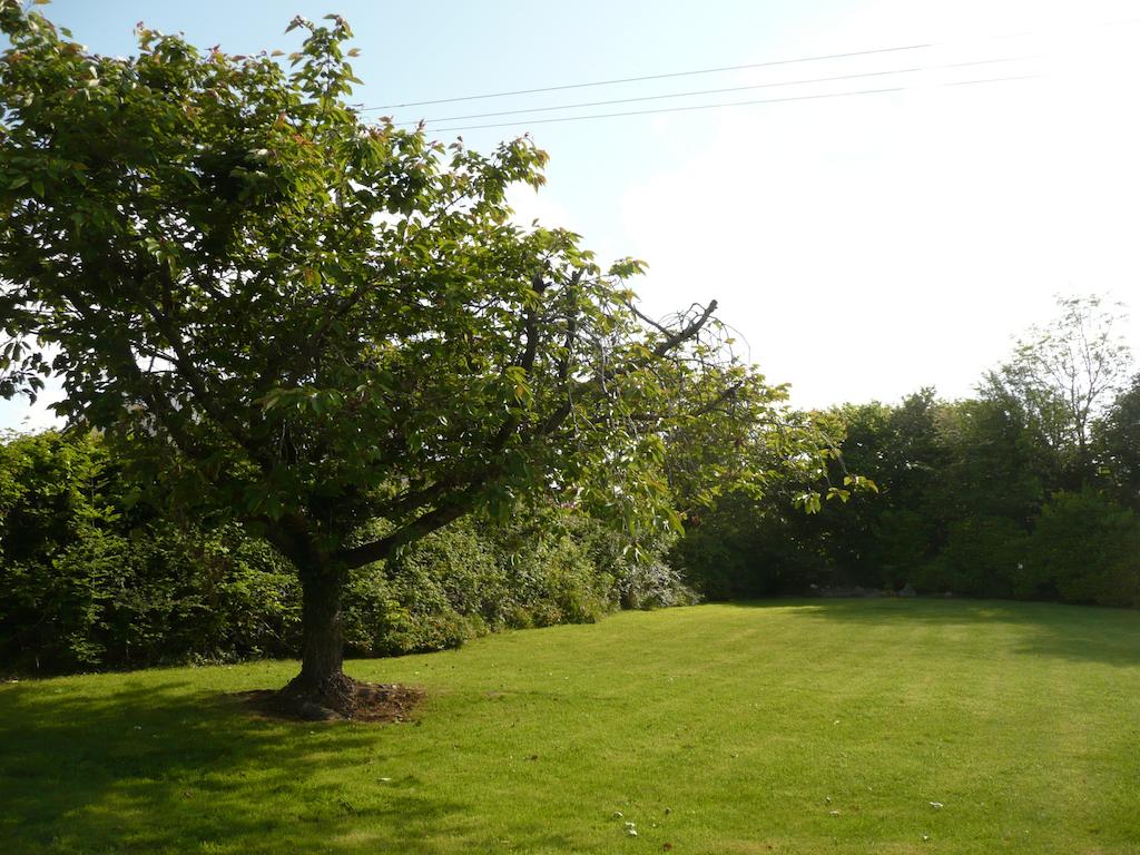 image url