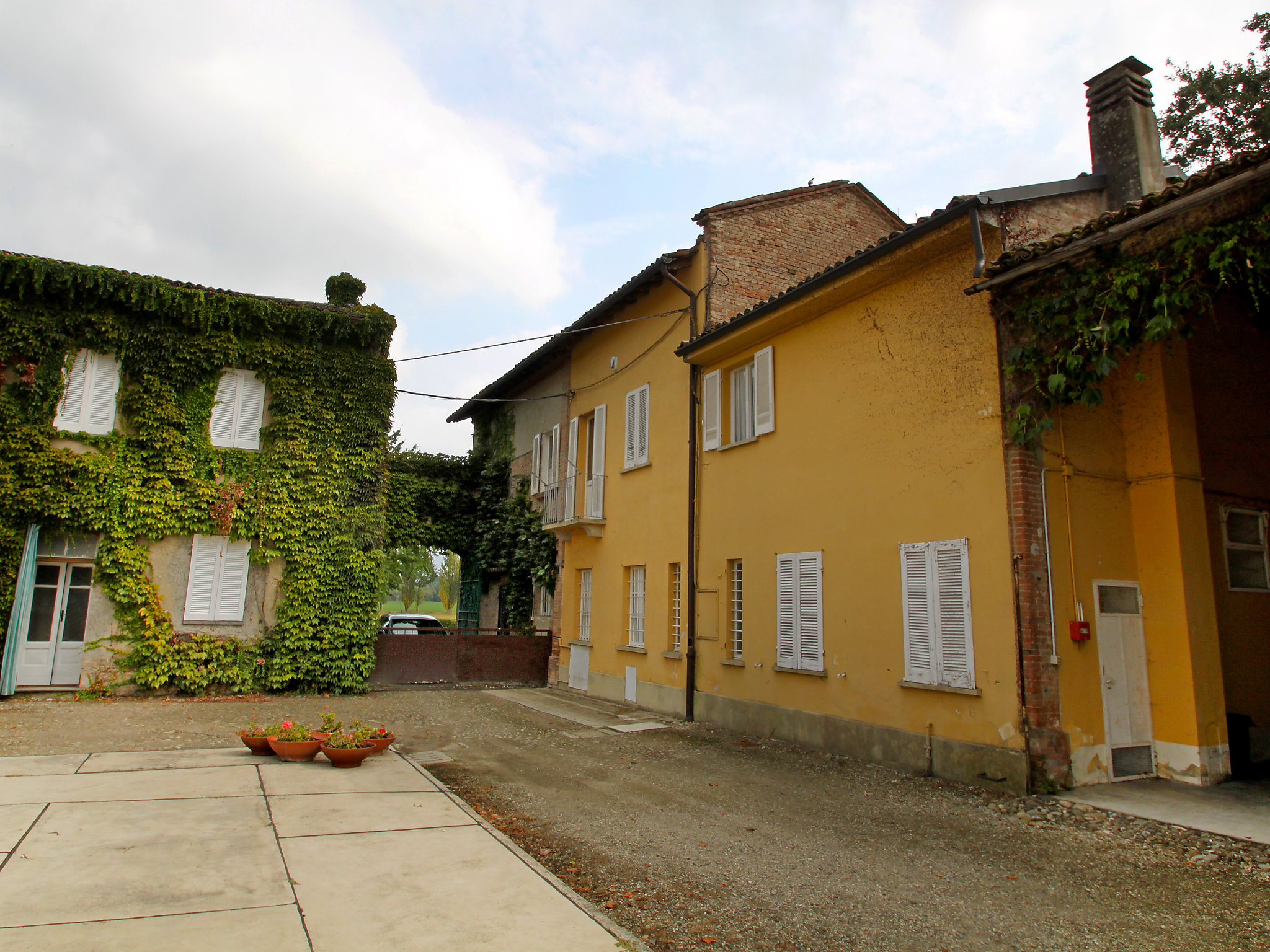 image url