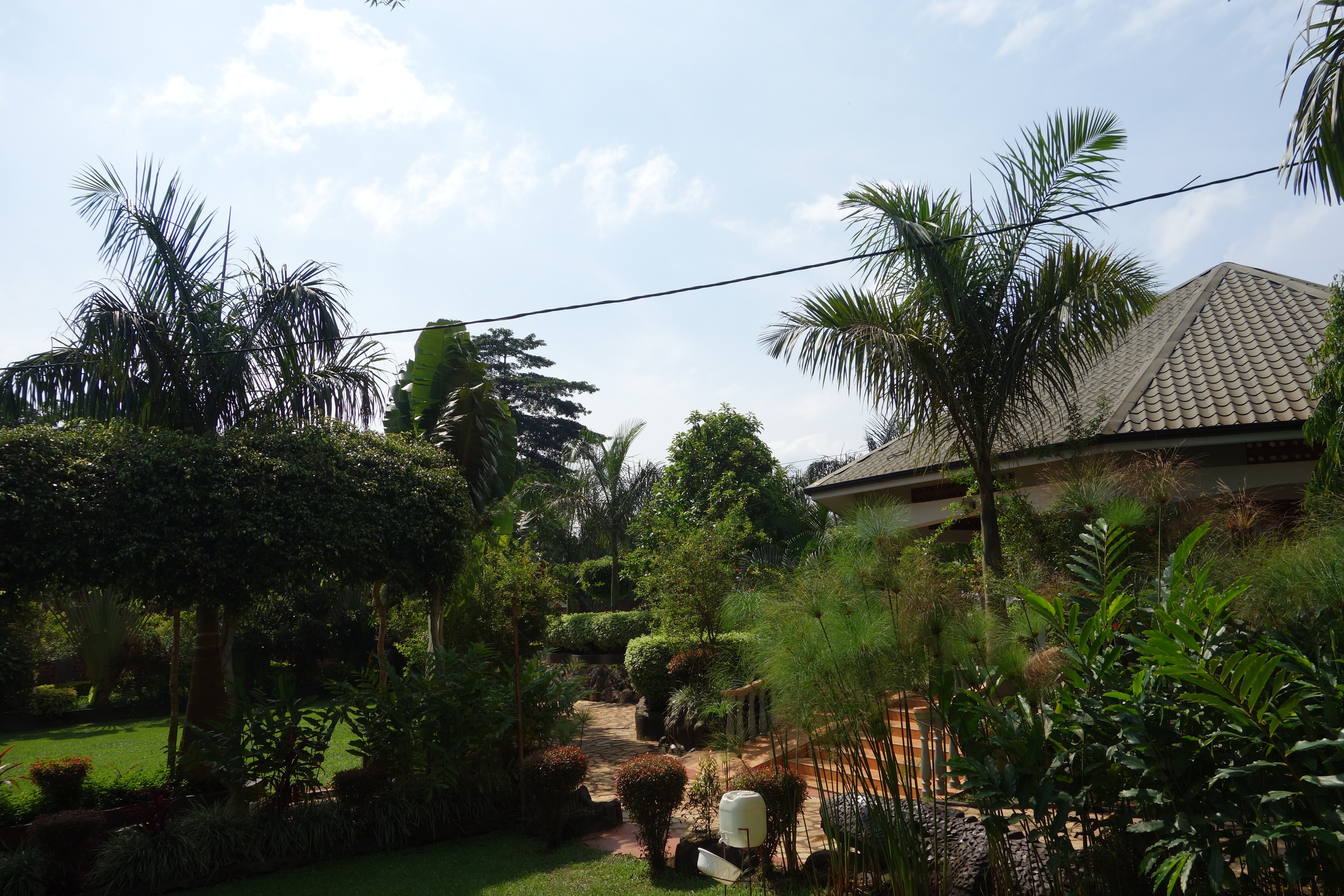 image url