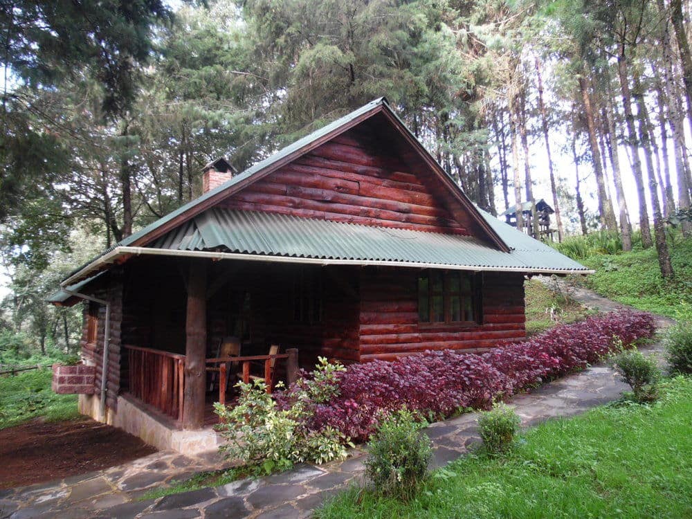 image url