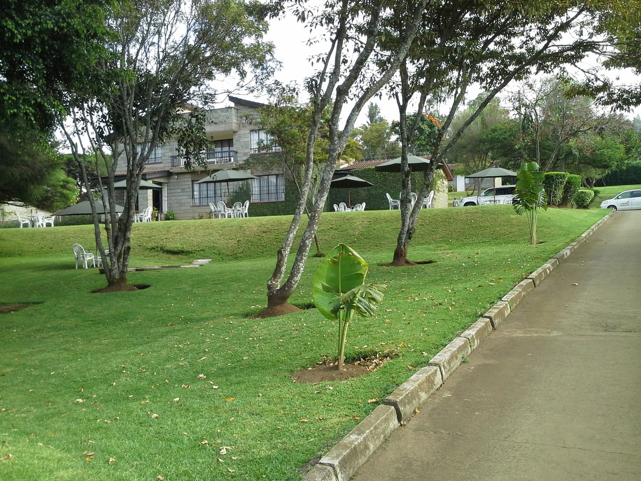 image url