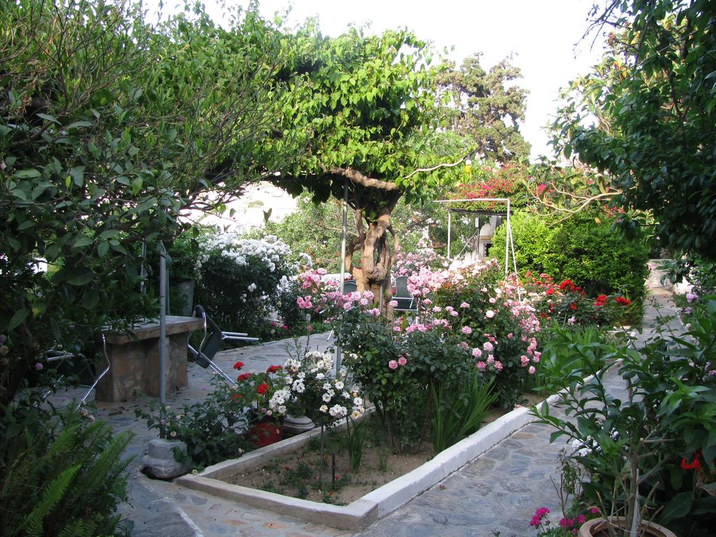 image url