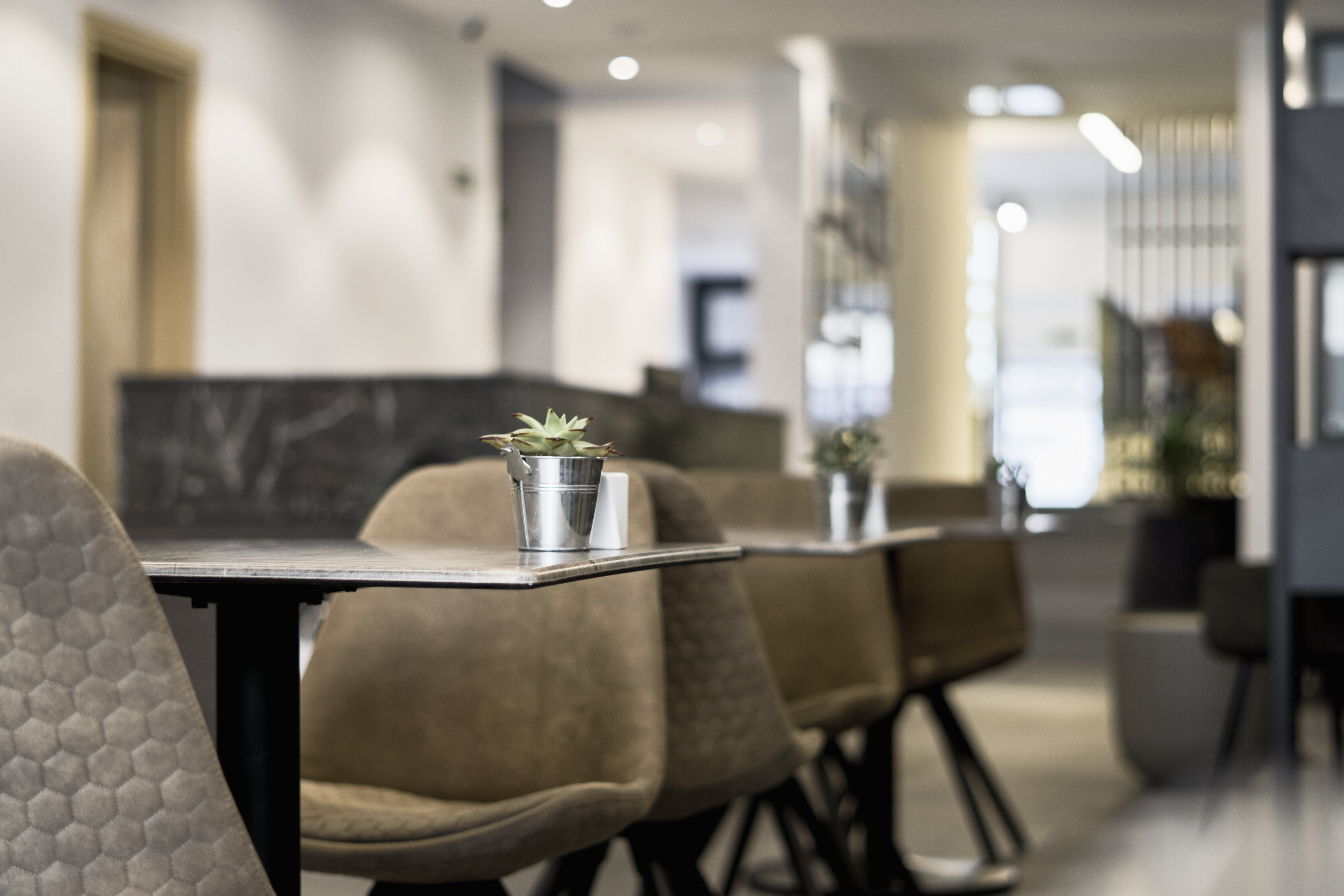 Billede av hotellet Mr. Todd Hotel - nummer 5 af 10