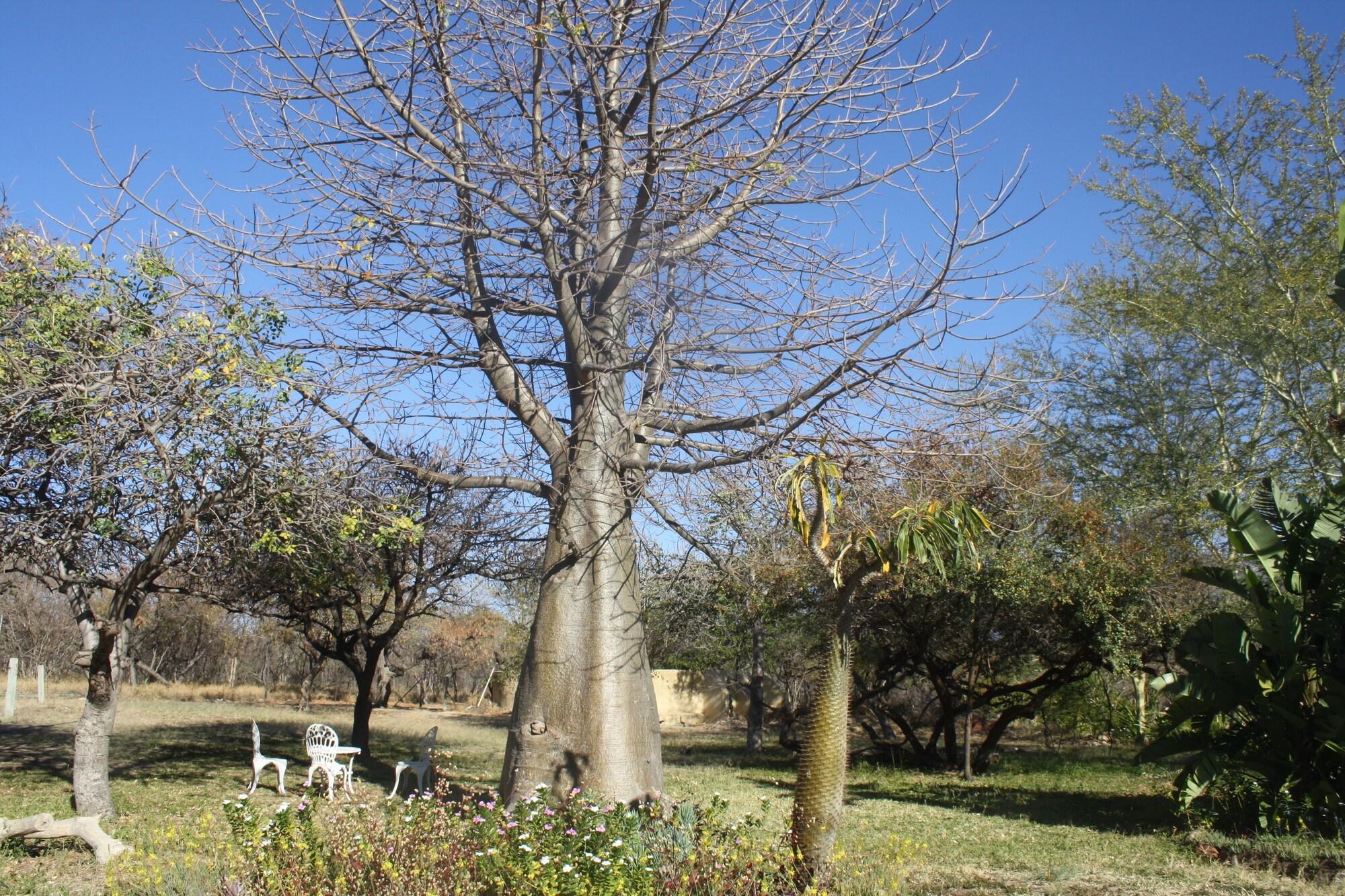 image url