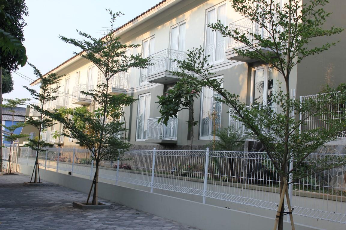 image url