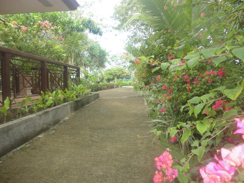 image url