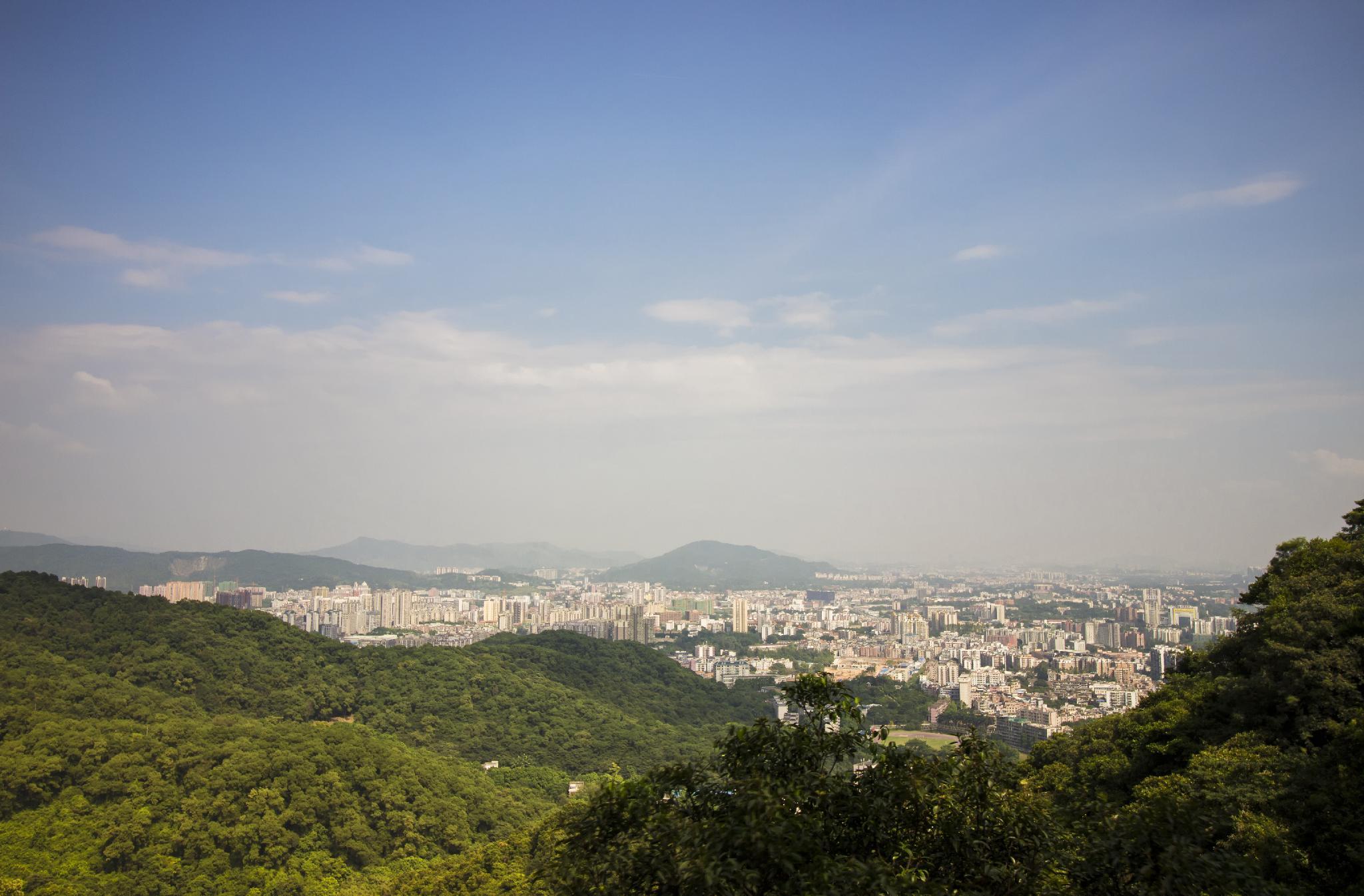 image url