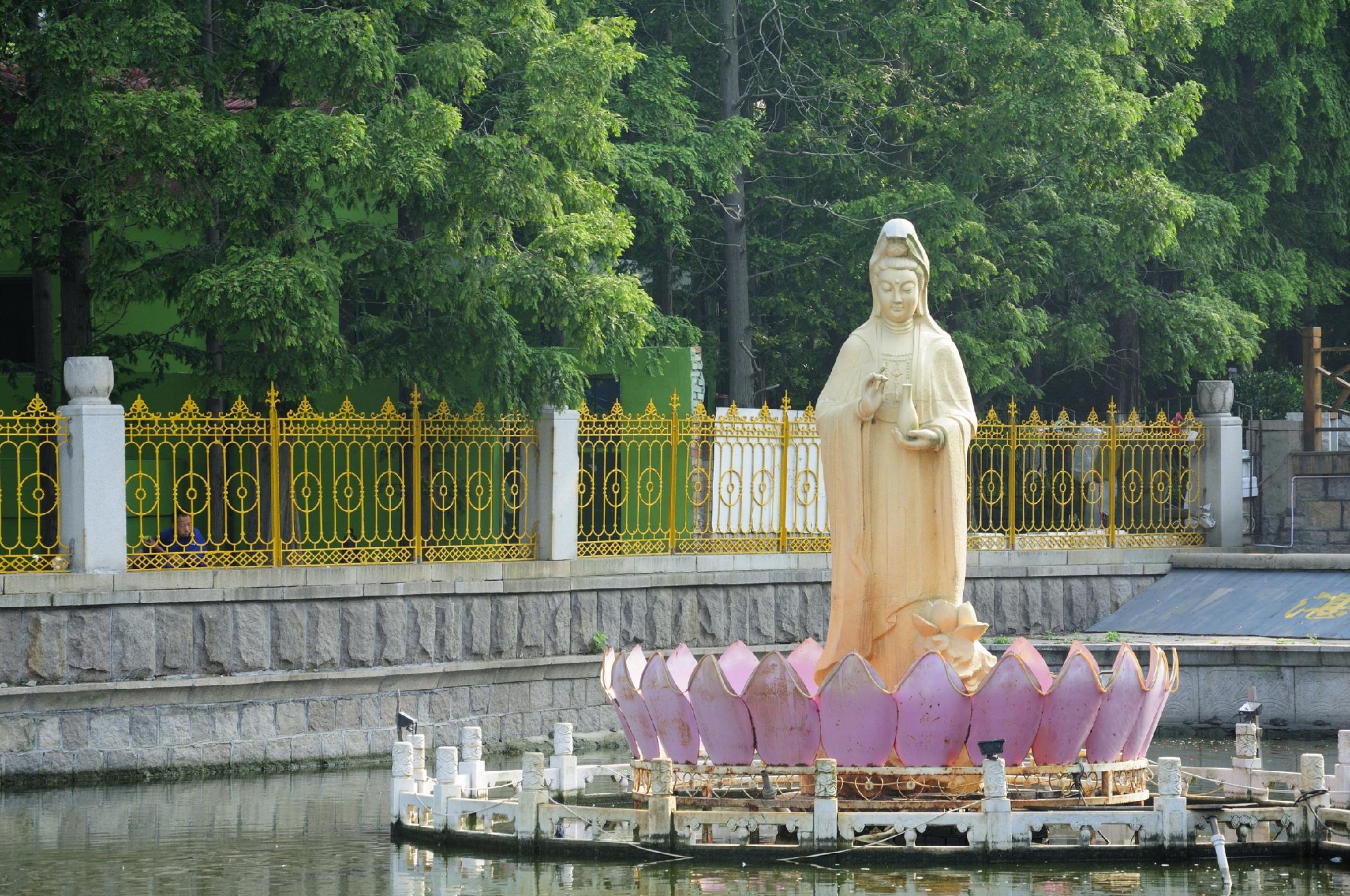 image url