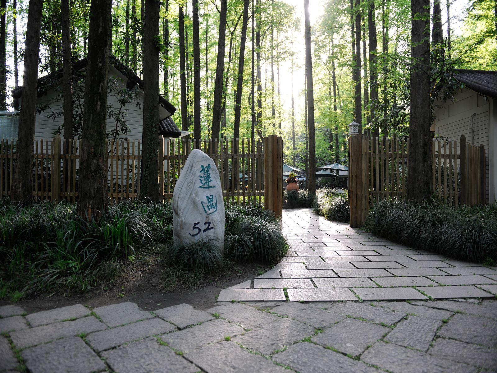 image url