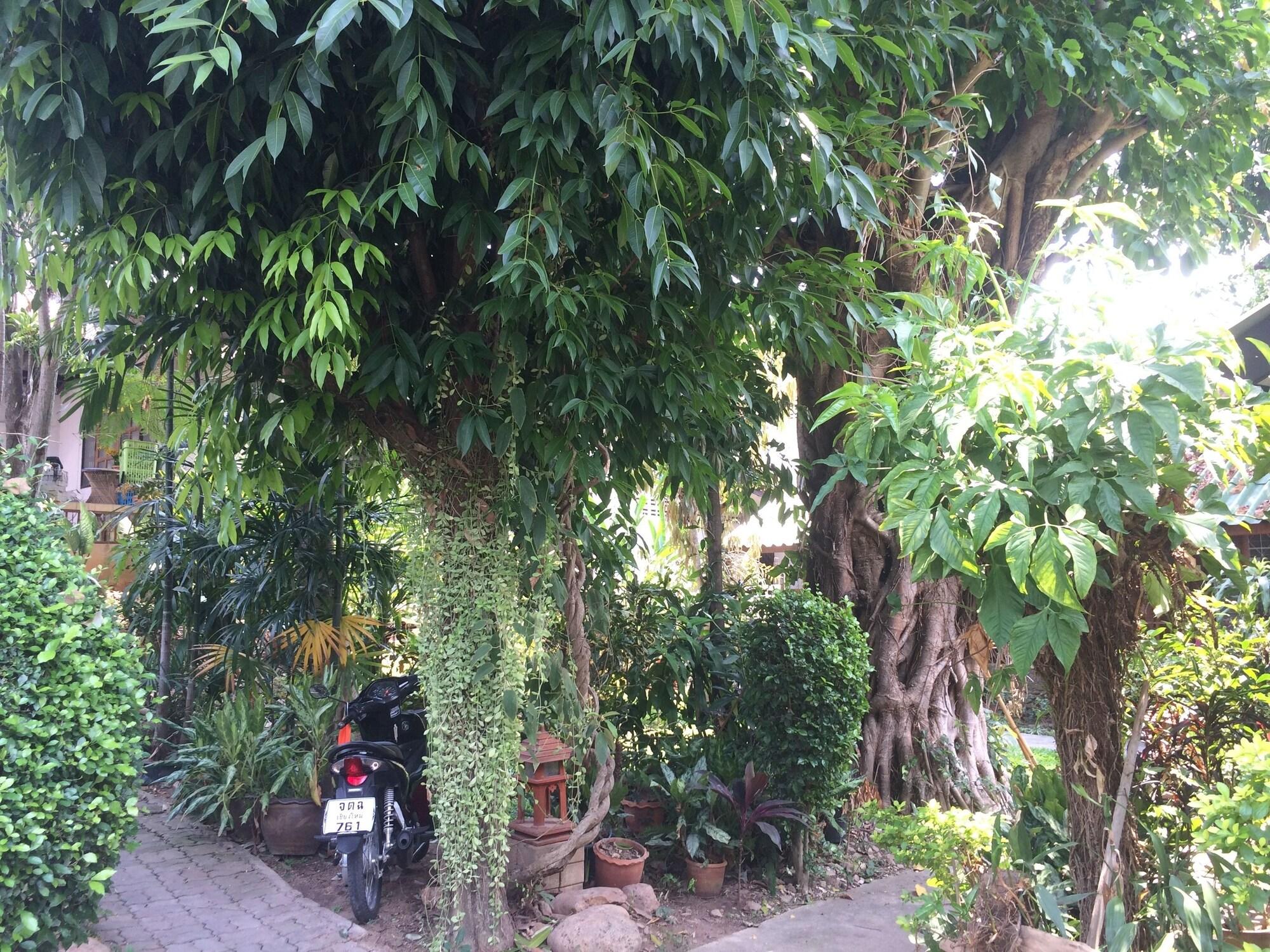 image url