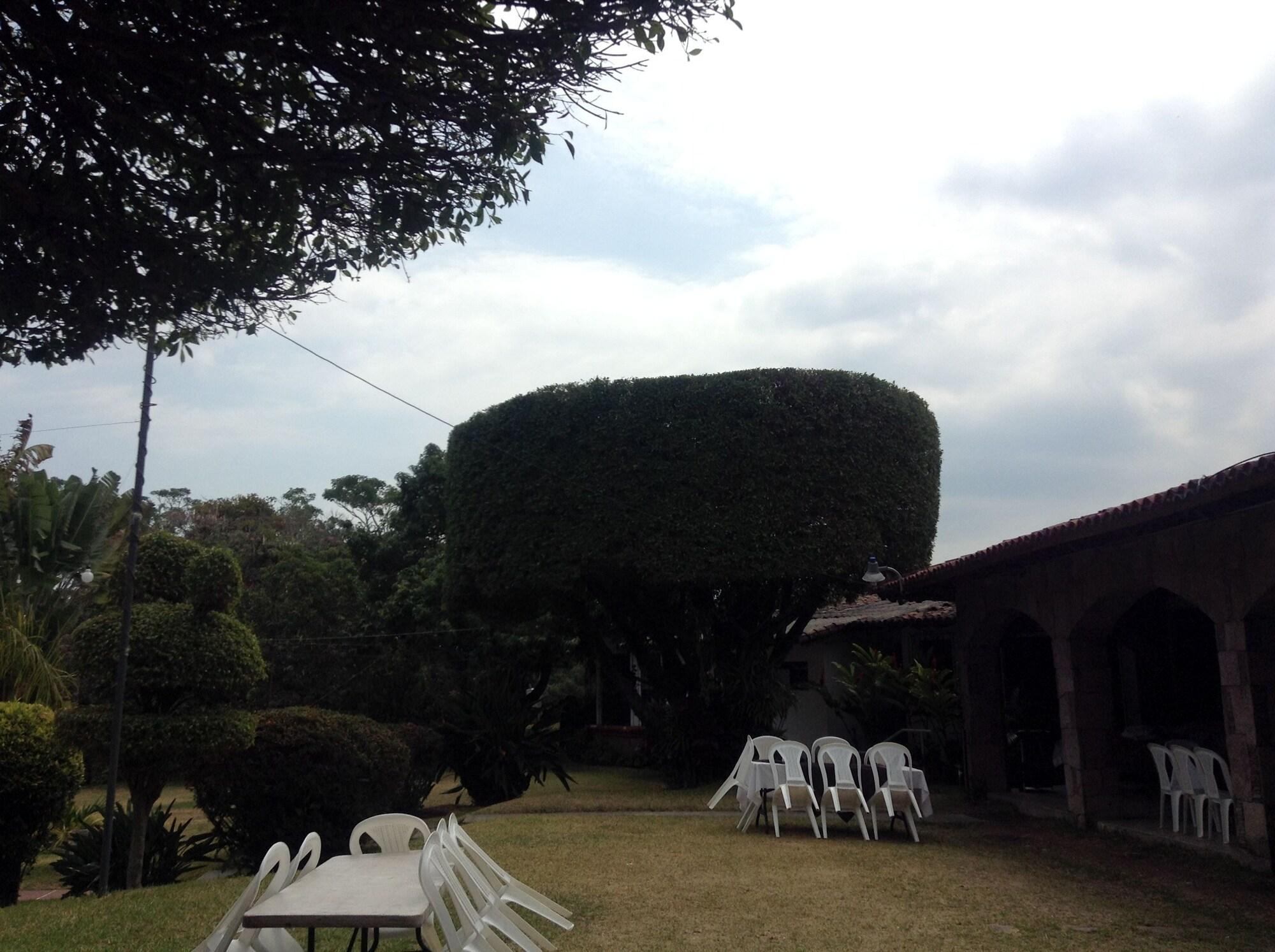 image url