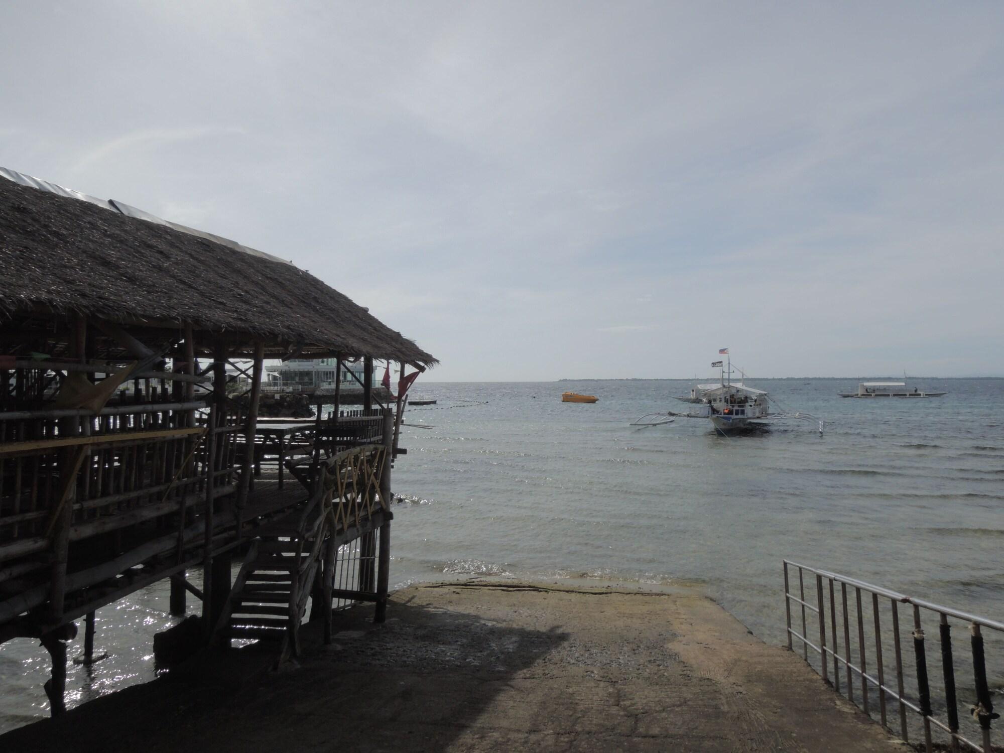 image url