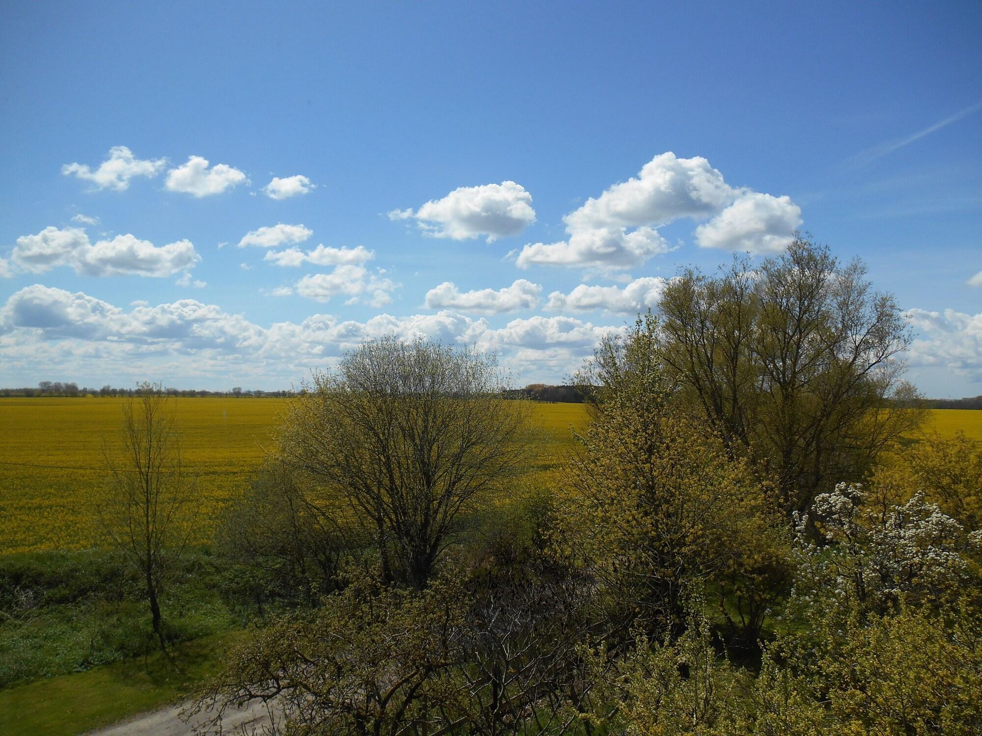image url