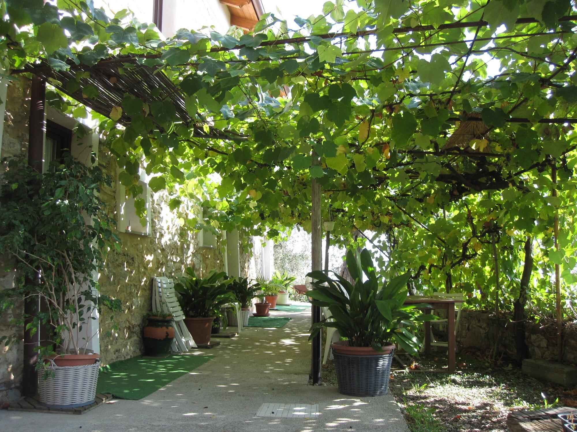 image url