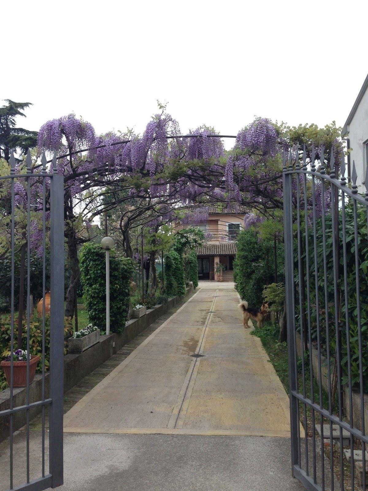 image url