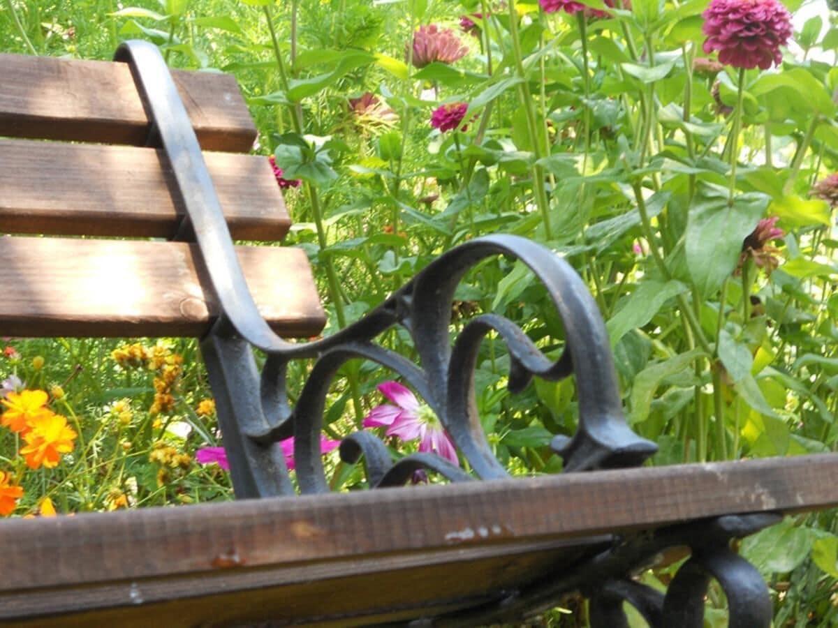 image url