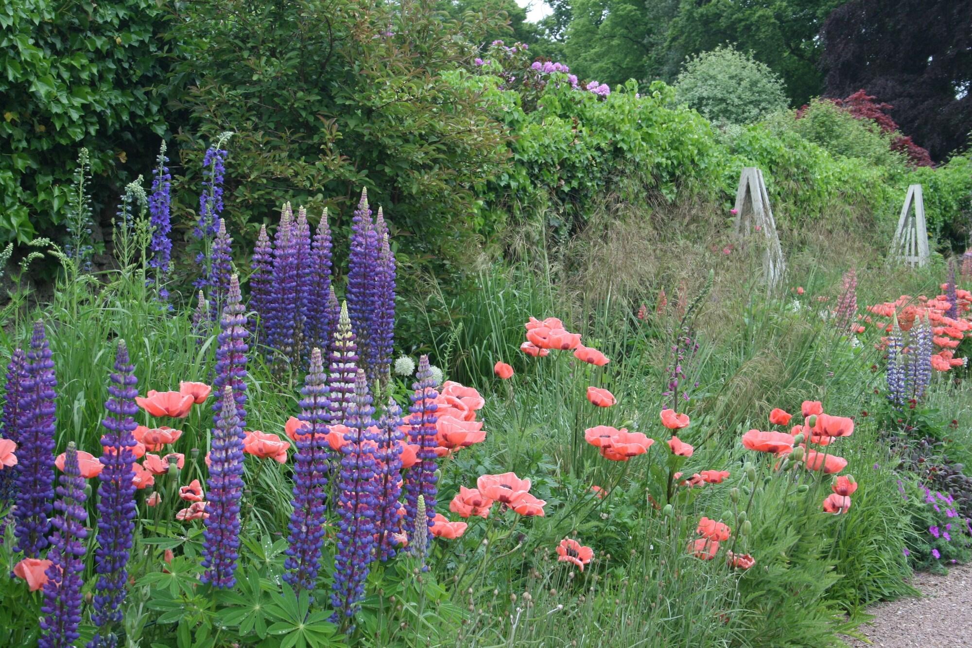 image url