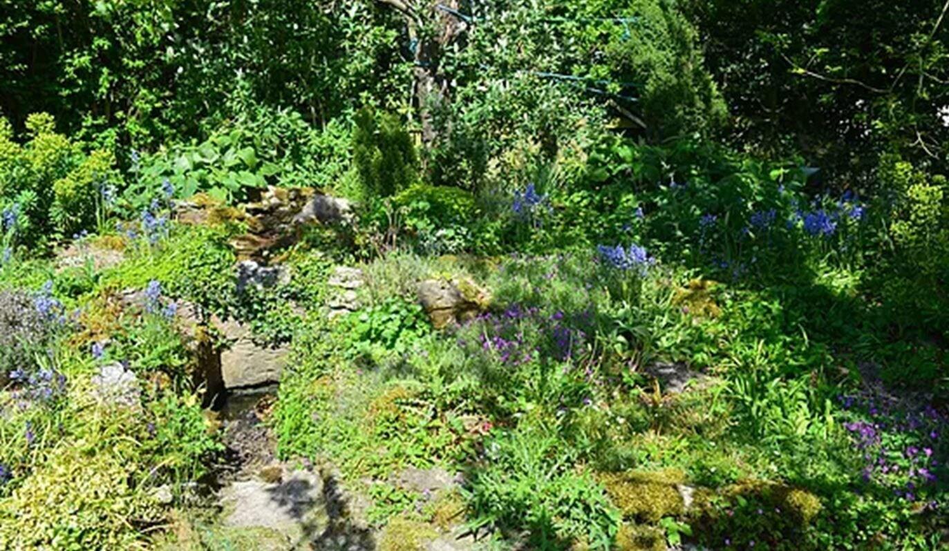 image url