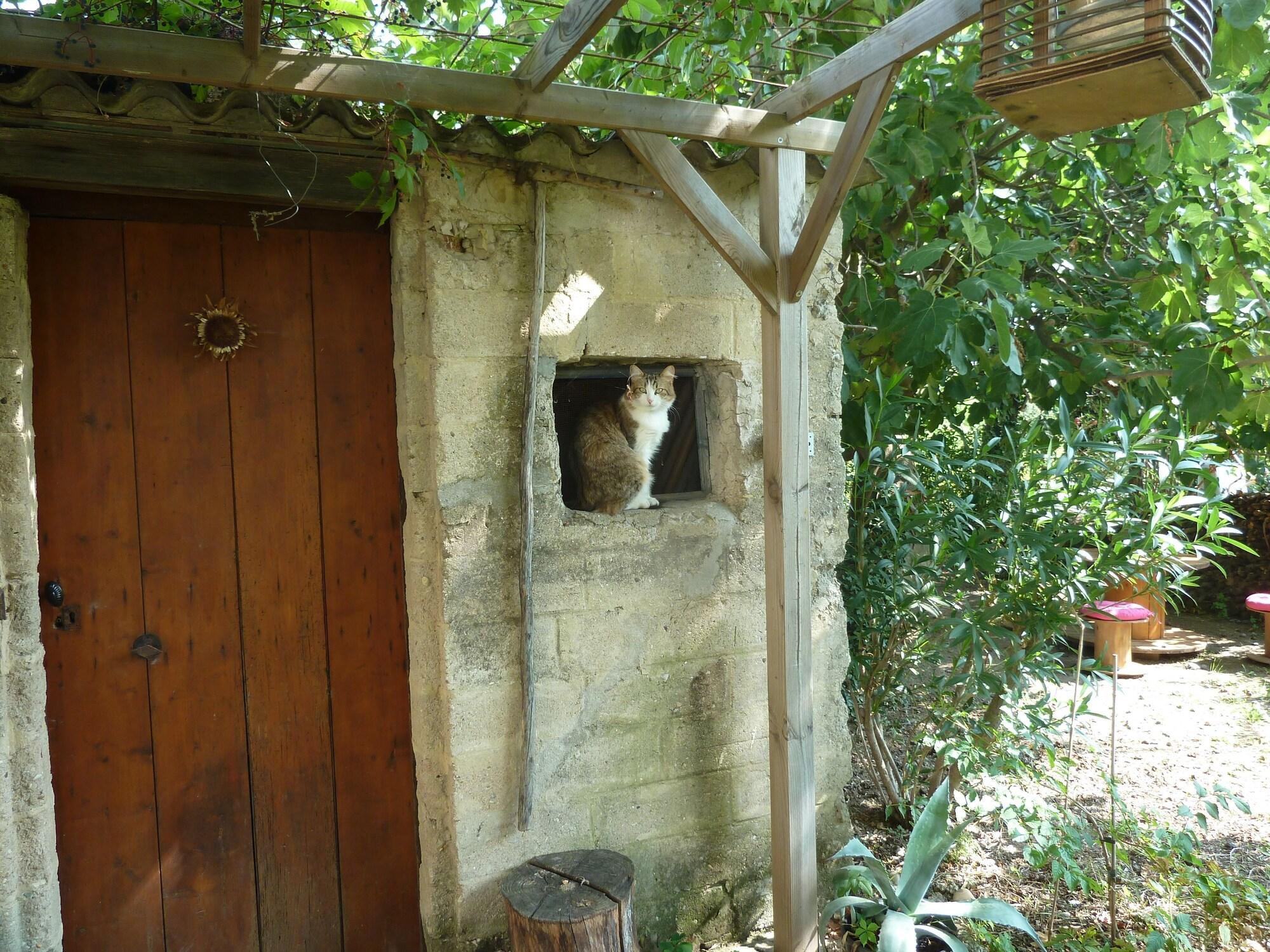 image url