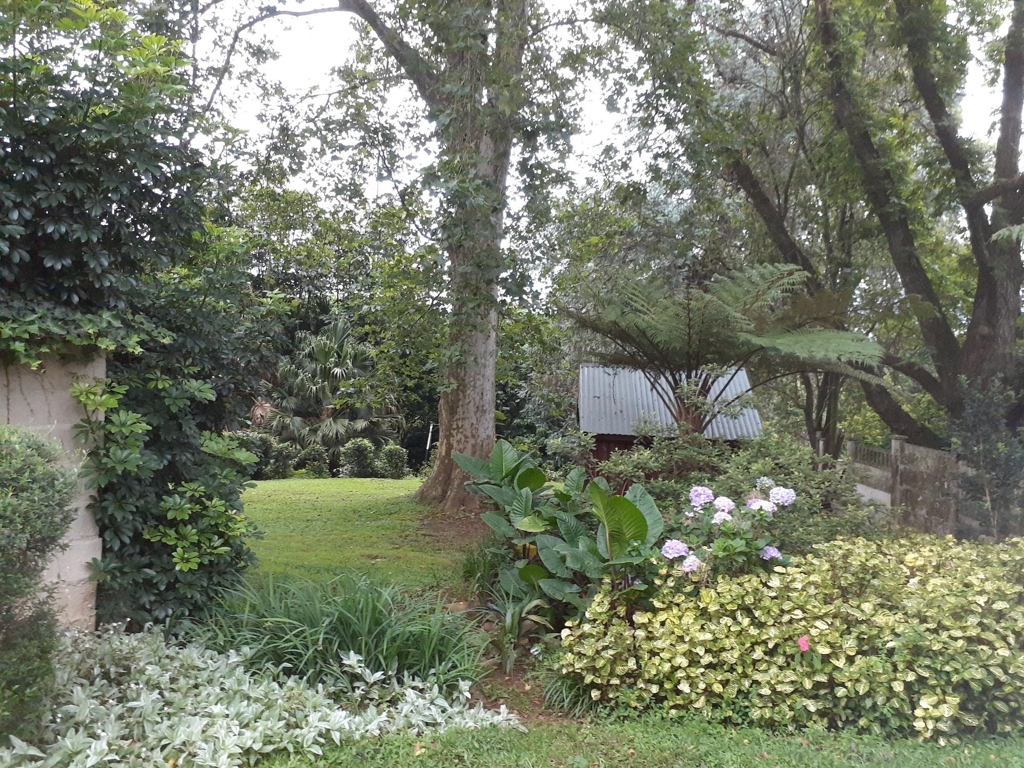 image url