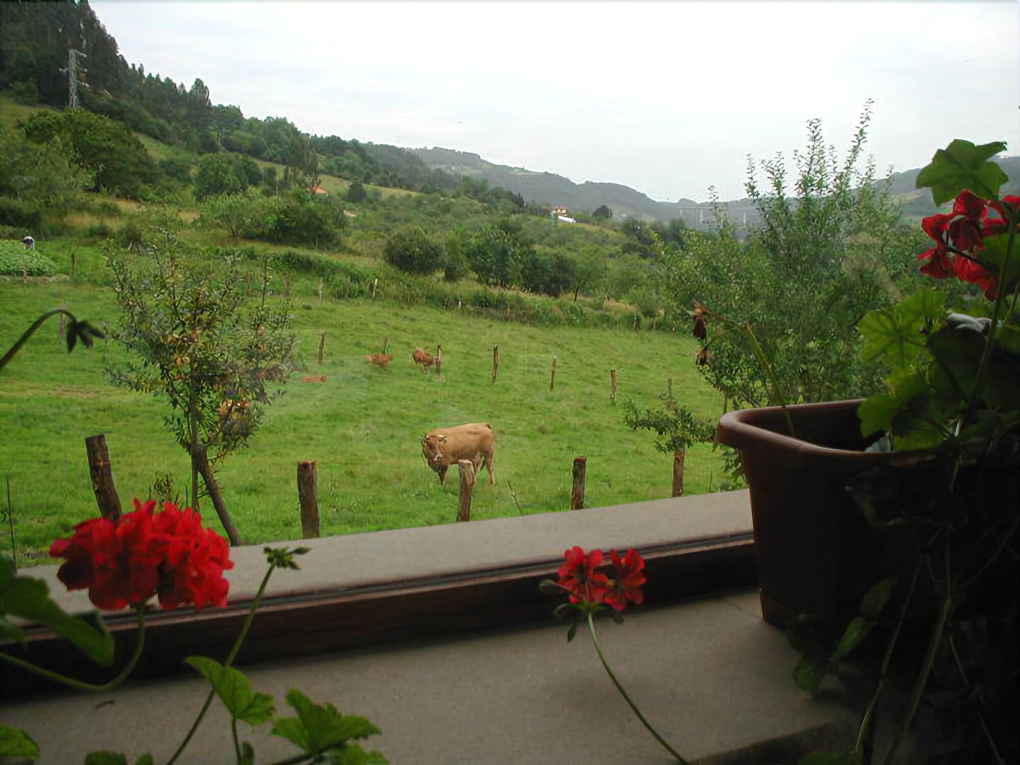 image url